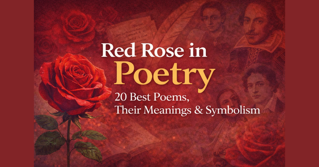 Red Rose in Poetry